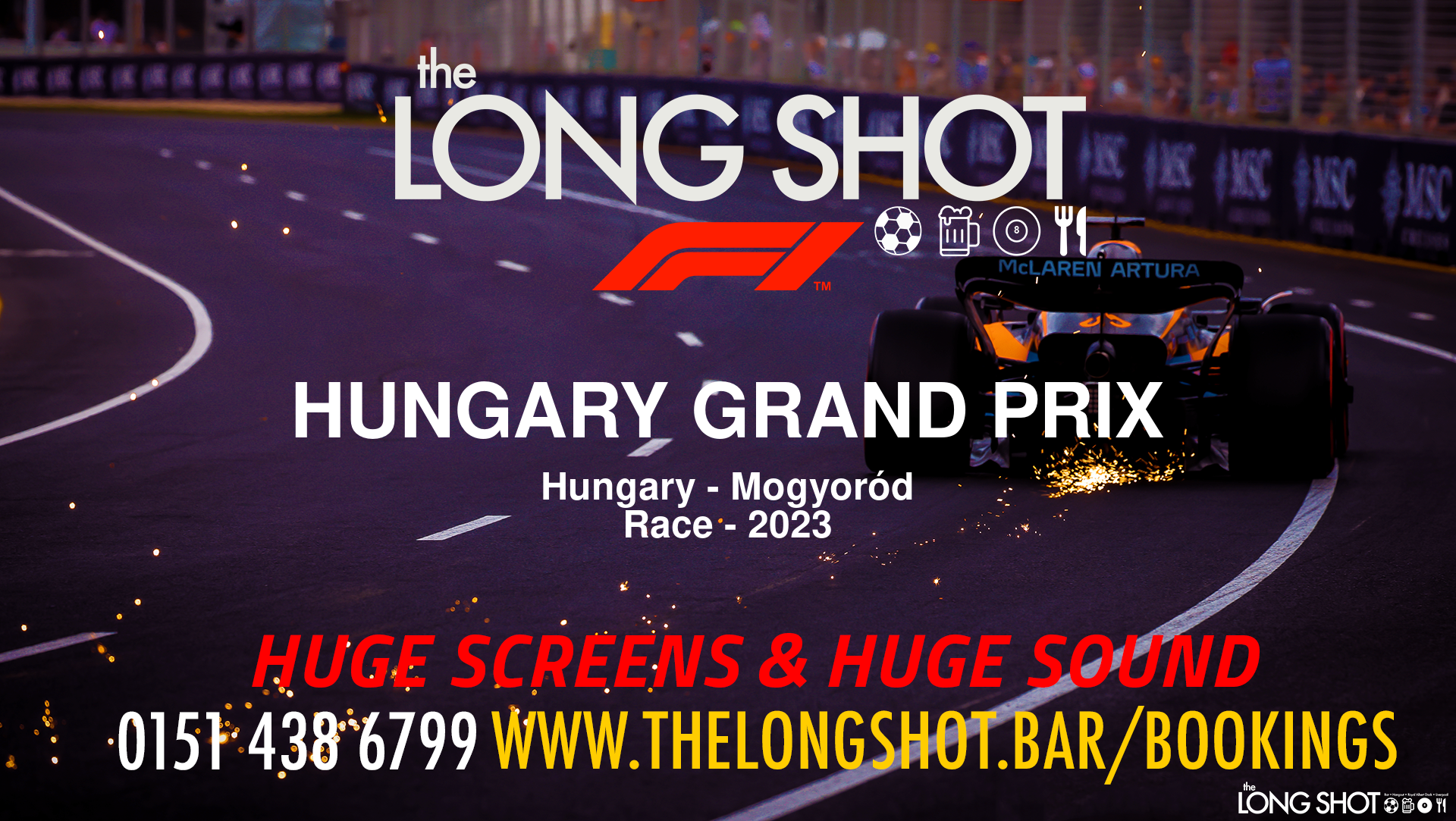 Formula 1 Event image - Hungary Grand Prix - Race